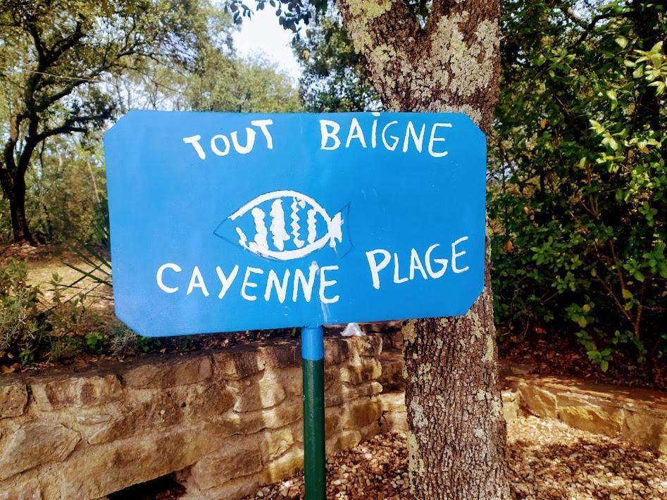 Les Gites De Cayenne - Gite Orient Dions Εξωτερικό φωτογραφία